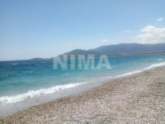 Land - Investment for Sale -  Astros, Peloponnese