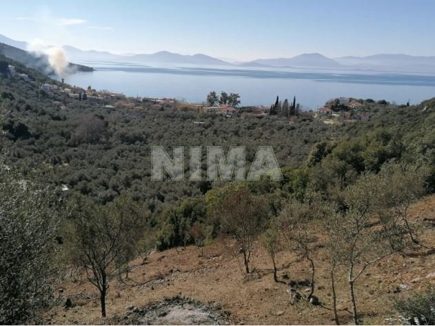 Land ( province ) for Sale Pelion, Coastal areas of mainland Greece (code M-1322)