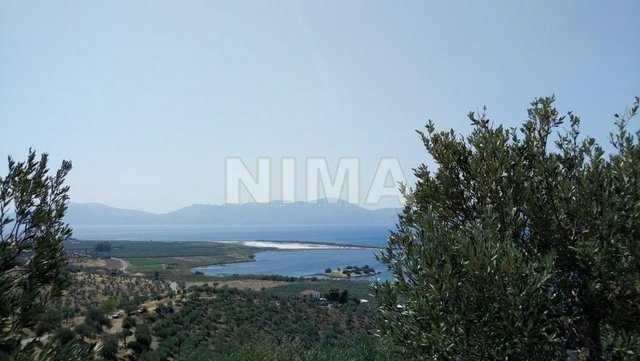 Land ( province ) for Sale Hermioni, Peloponnese (code M-454)
