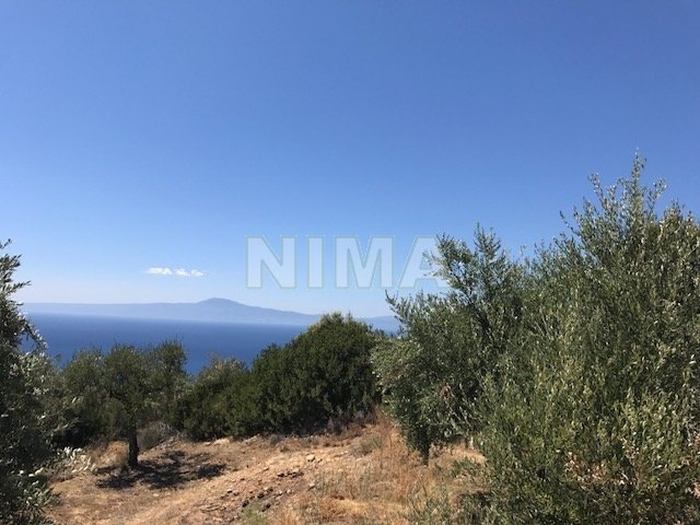 Land - Investment for Sale -  Mani, Peloponnese