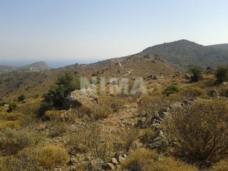Grundstück - Investition zum Verkauf -  Egina, Inseln