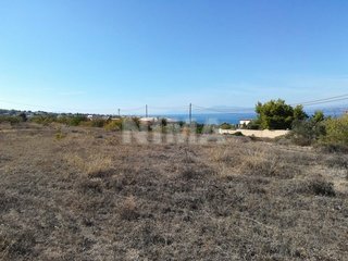 Land ( province ) for Sale -  Aegina, Islands