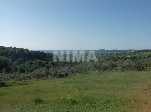 Grundstück - Investition zum Verkauf -  Porto Heli, Peloponnes