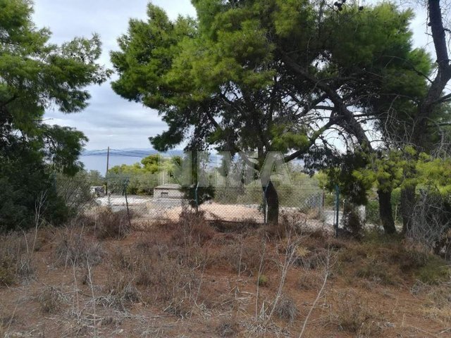 Grundstück ( Provinz ) zum Verkauf Egina, Inseln (referenz Nr. M-108)