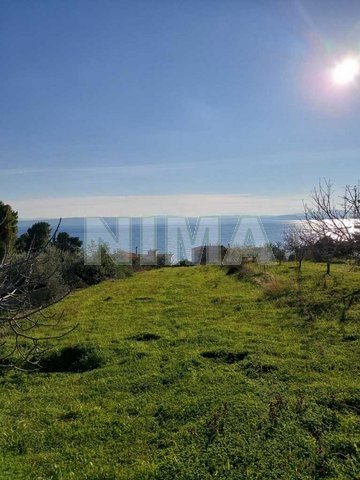 Land ( province ) for Sale -  Evia, Islands