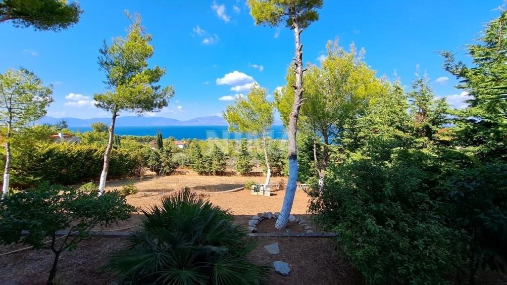 Ferienhäuser zum Verkauf -  Theologos, Küstengebiete des griechischen Festlands