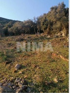 Land ( province ) for Sale -  Pelion, Coastal areas of mainland Greece