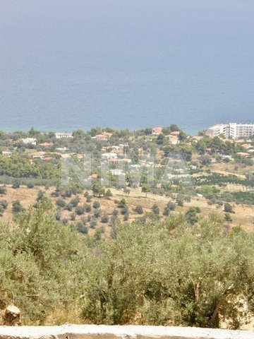 Land ( province ) for Sale -  Kalamos, Attica - East coast