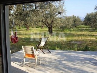 Land ( province ) for Sale -  Stilida, Coastal areas of mainland Greece