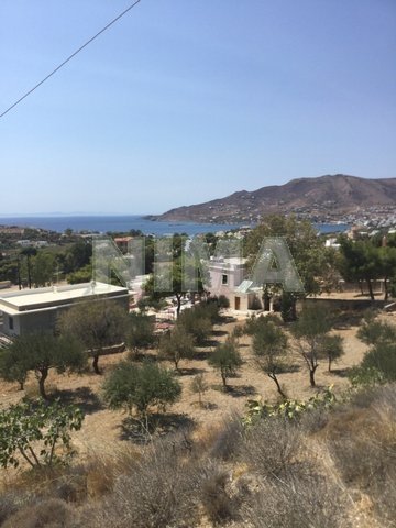 Terrain ( province ) à vendre Syros, Îles (Référence M-1021)