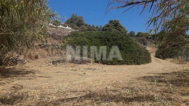 Land ( province ) for Sale Syros, Islands (code M-224)