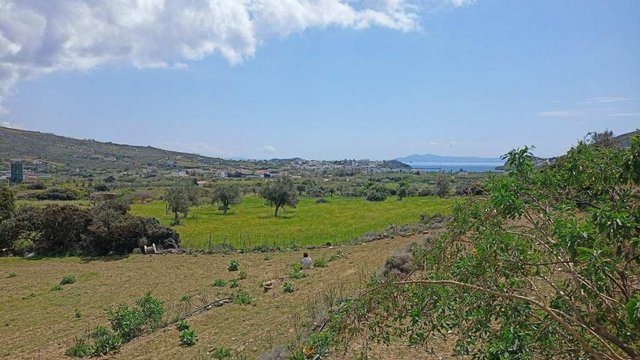 Land ( province ) for Sale Andros, Islands (code M-1389)