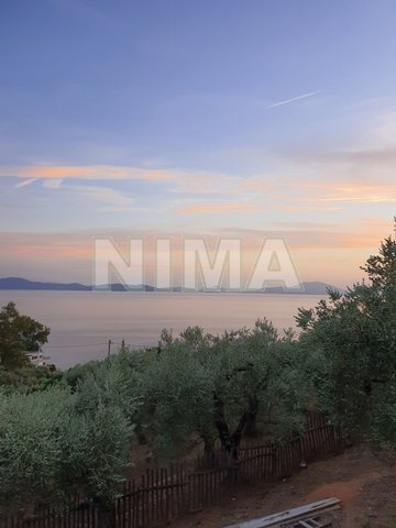 Holiday homes for Sale Pelion, Coastal areas of mainland Greece (code M-1244)