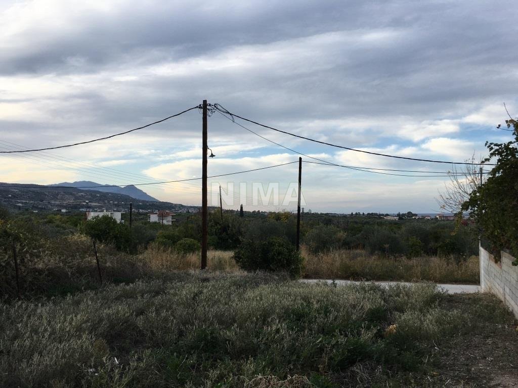 Land ( province ) for Sale -  Xylokastro, Peloponnese