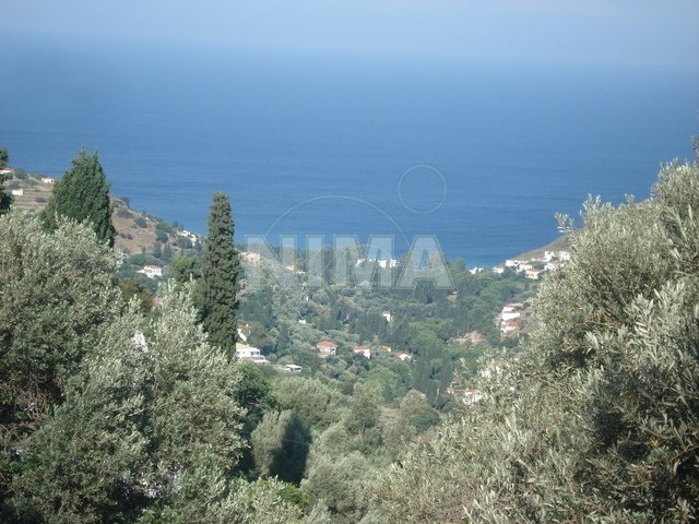 Land ( province ) for Sale Andros, Islands (code N-12401)